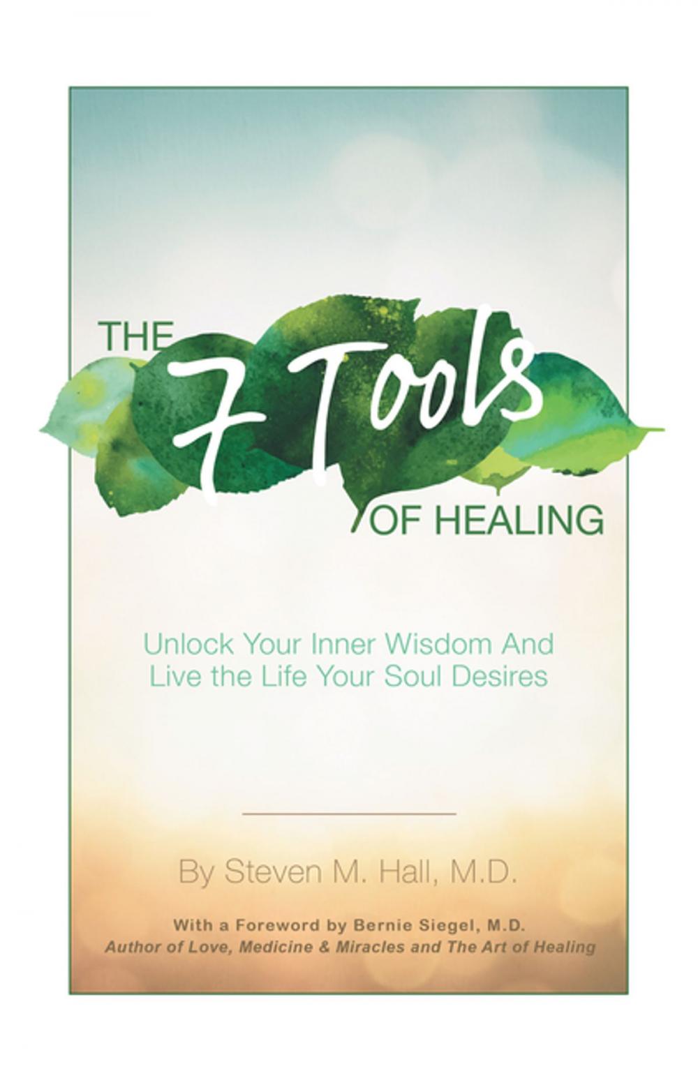 Big bigCover of The Seven Tools of Healing