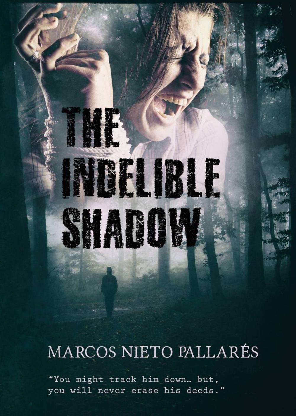 Big bigCover of The Indelible Shadow