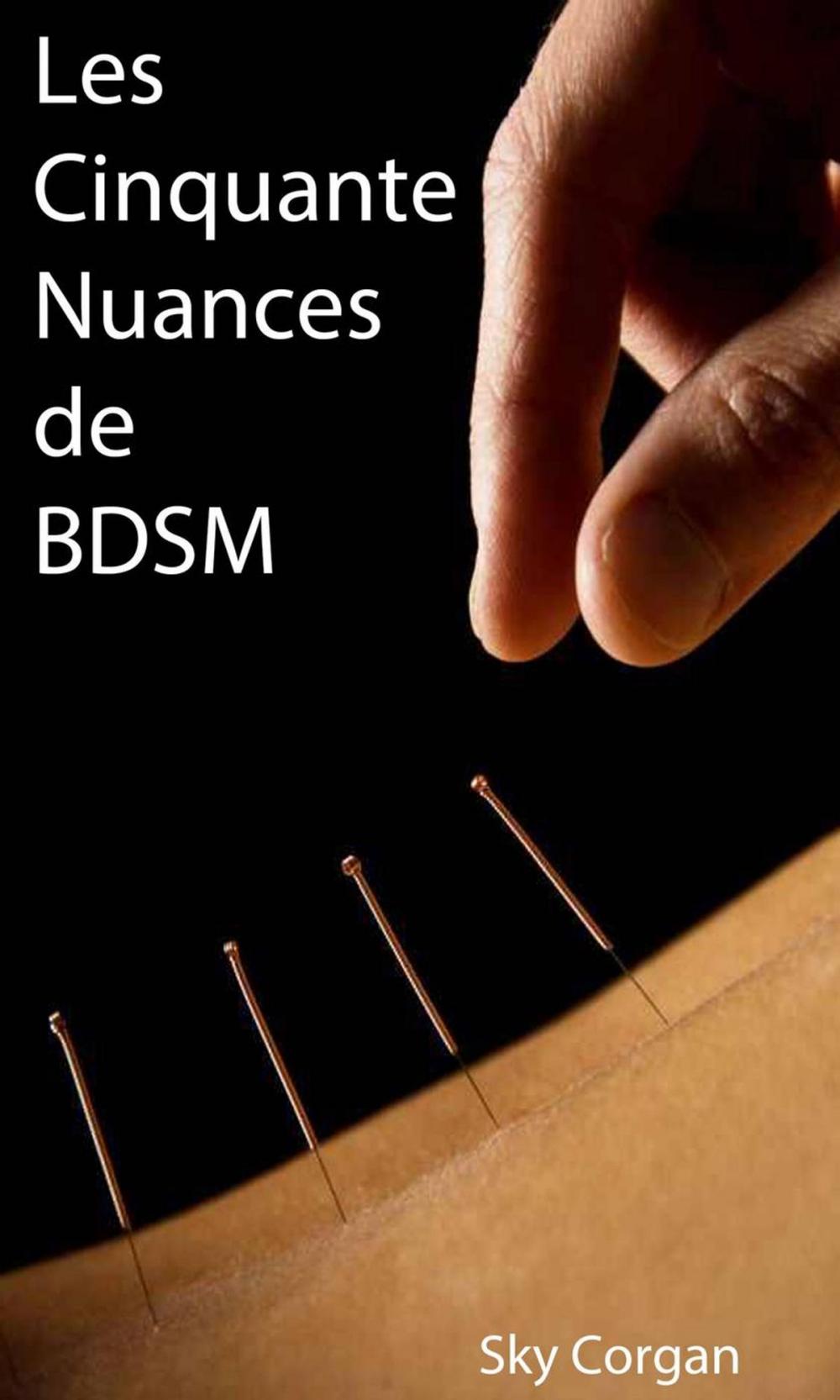 Big bigCover of Les Cinquante Nuances de BDSM