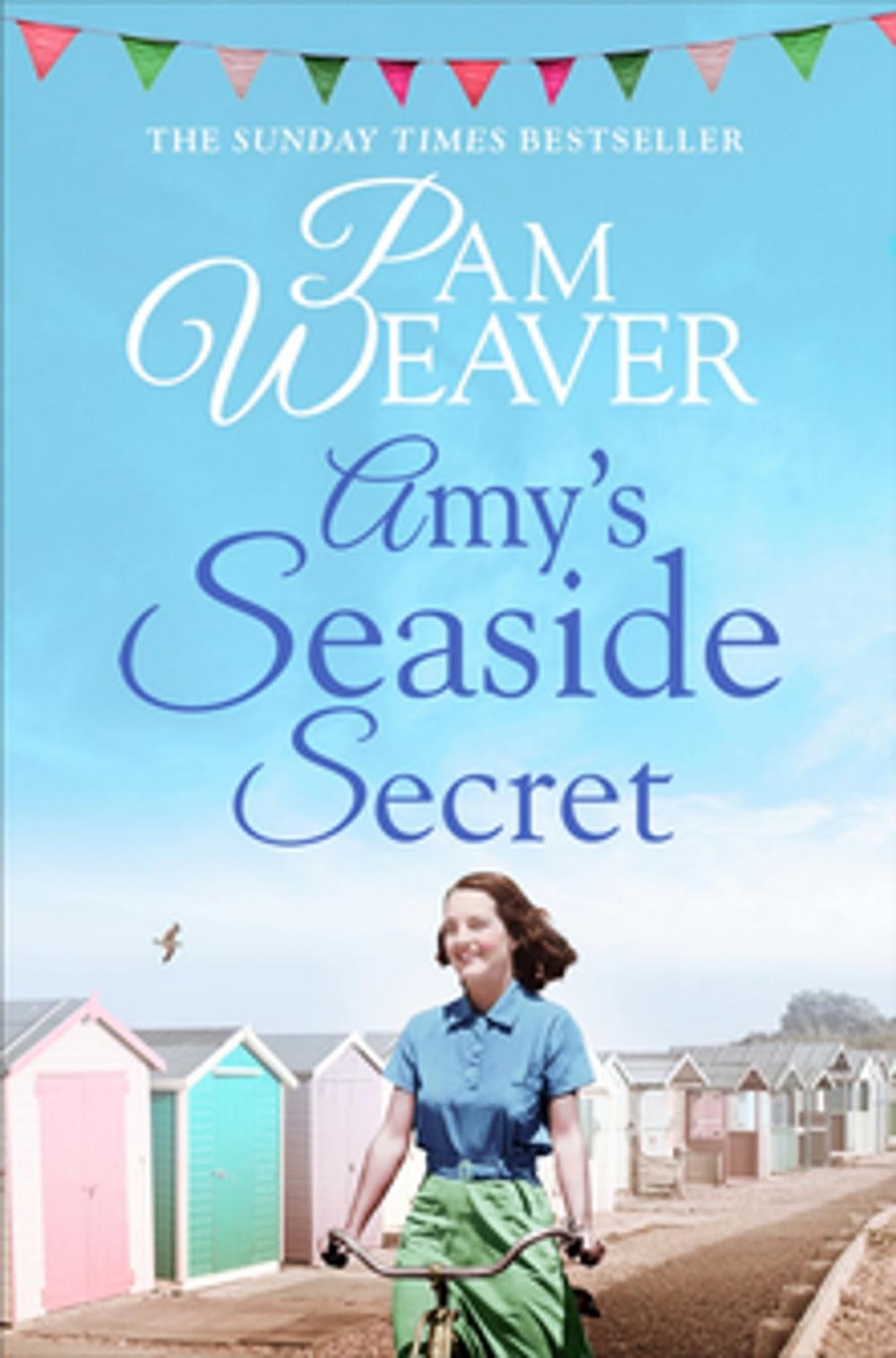 Big bigCover of Amy's Seaside Secret