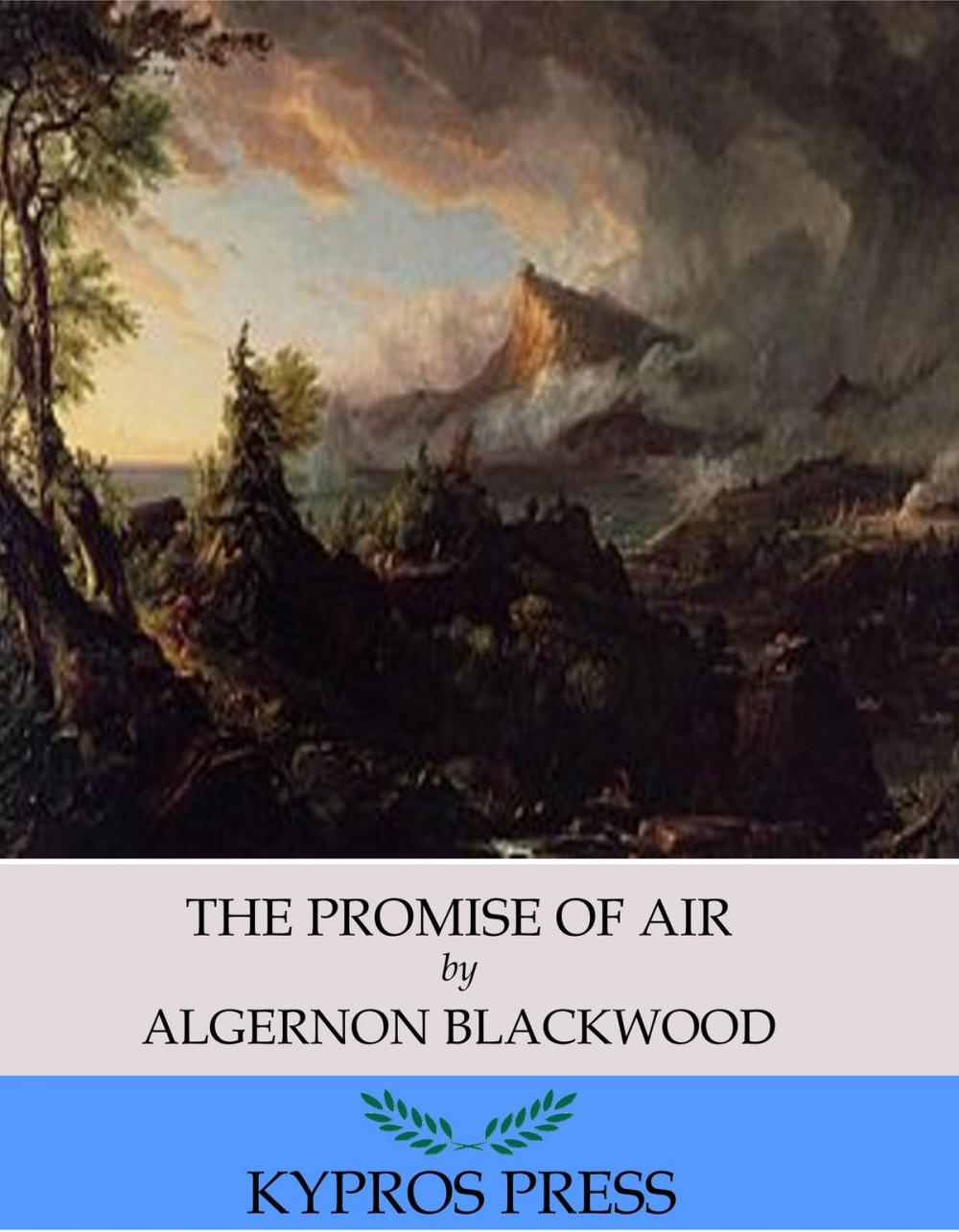 Big bigCover of The Promise of Air