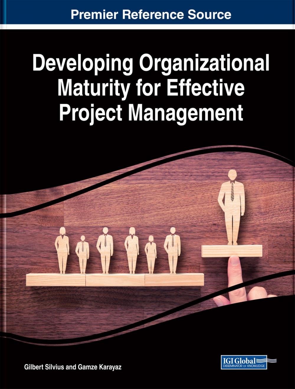 Big bigCover of Developing Organizational Maturity for Effective Project Management