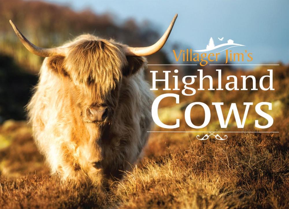 Big bigCover of Villager Jim's Highland Cows