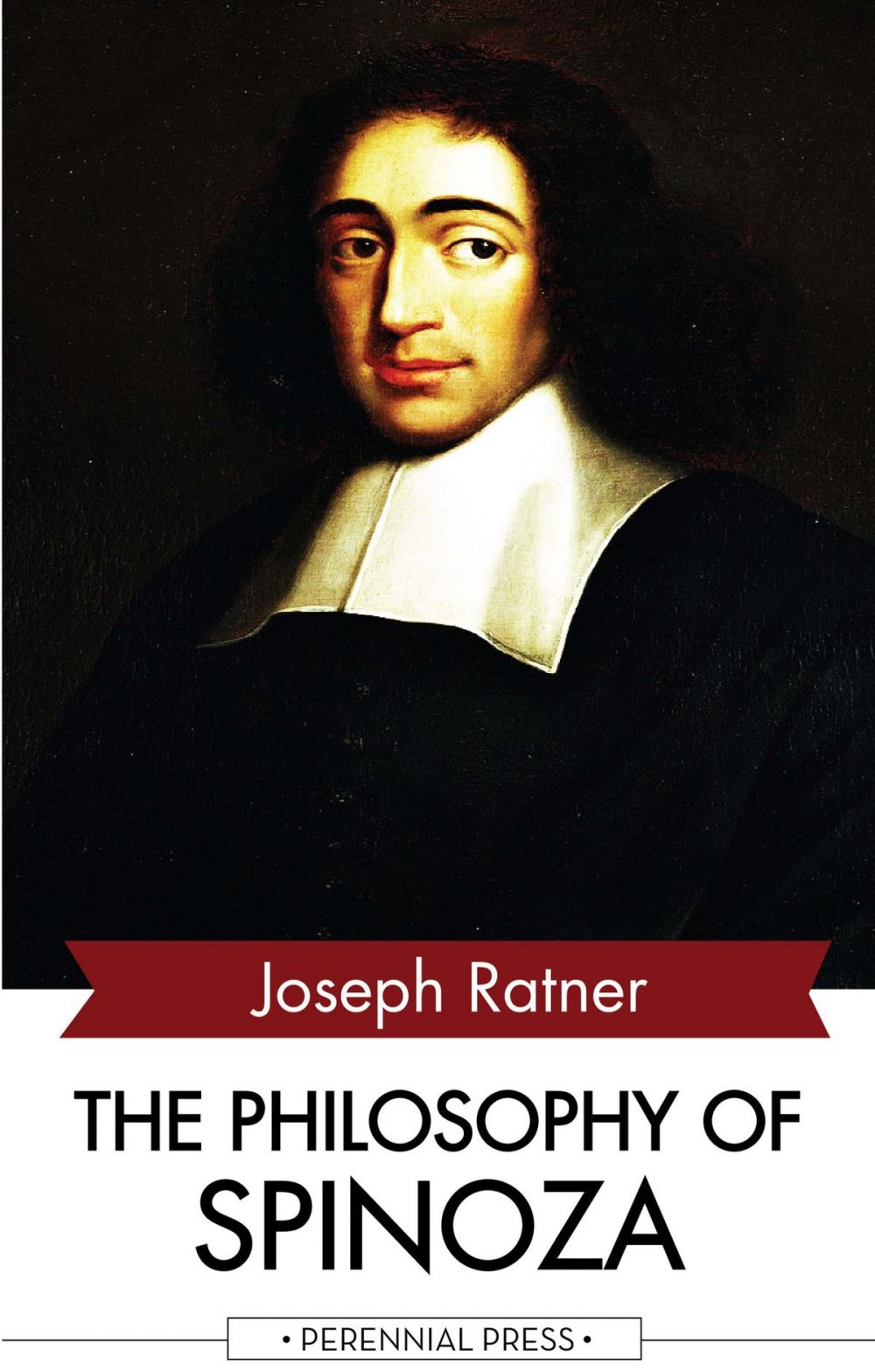 Big bigCover of The Philosophy of Spinoza