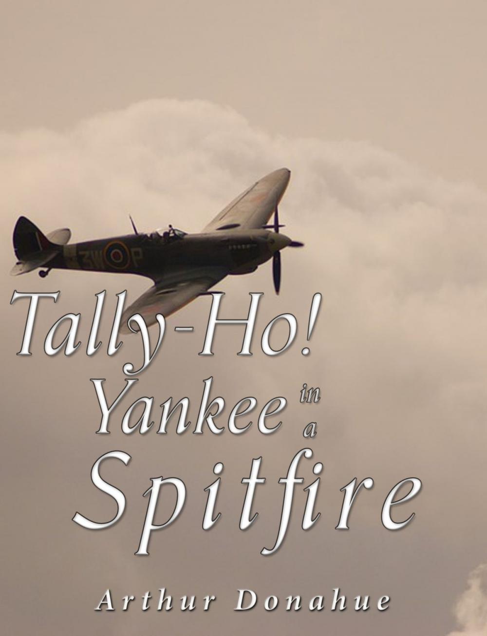 Big bigCover of Tally-Ho! Yankee in a Spitfire