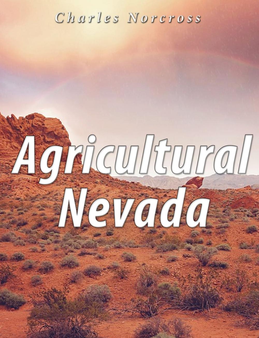 Big bigCover of Agricultural Nevada