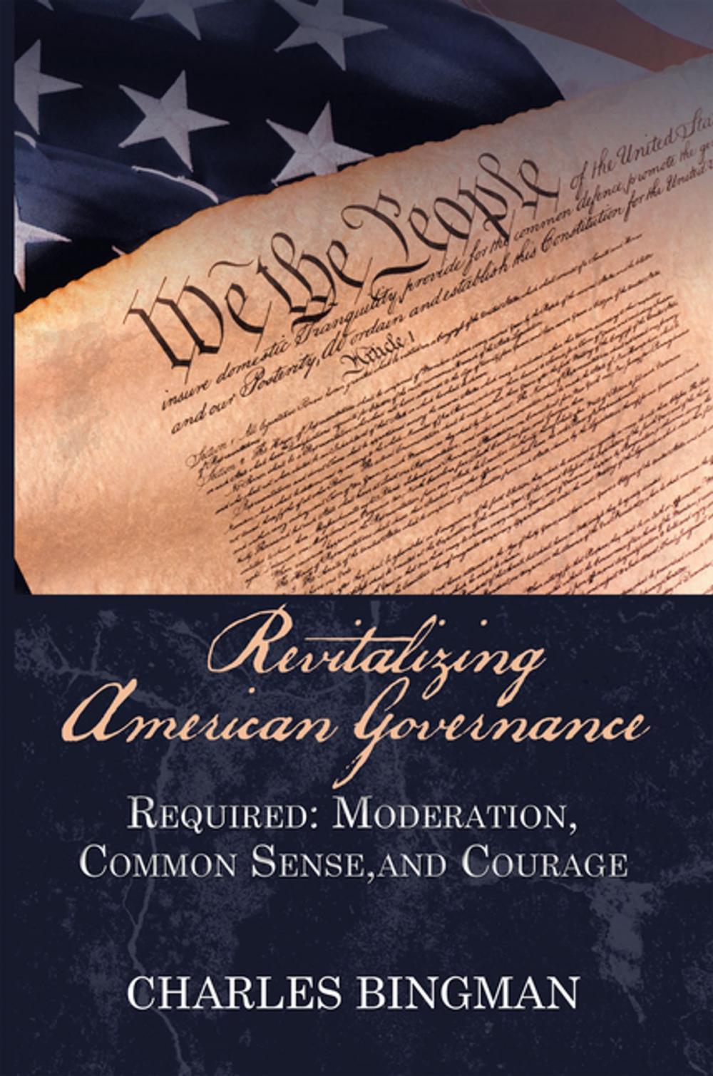 Big bigCover of Revitalizing American Governance