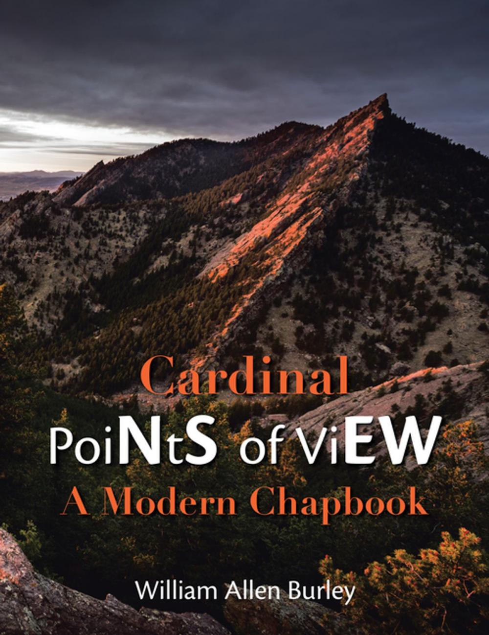 Big bigCover of Cardinal Points of View