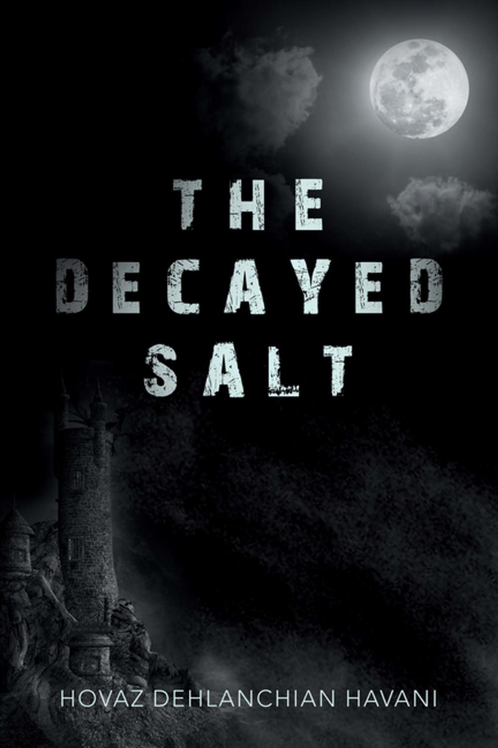 Big bigCover of The Decayed Salt