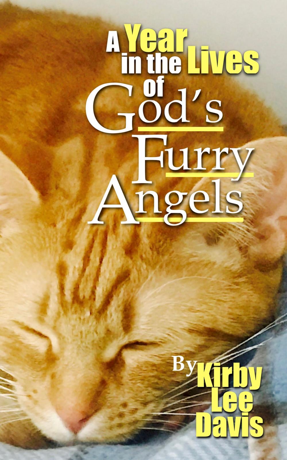 Big bigCover of A Year in the Lives of God's Furry Angels