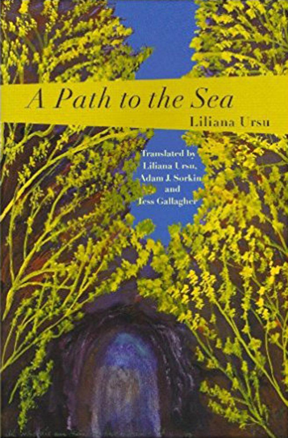 Big bigCover of A Path to the Sea