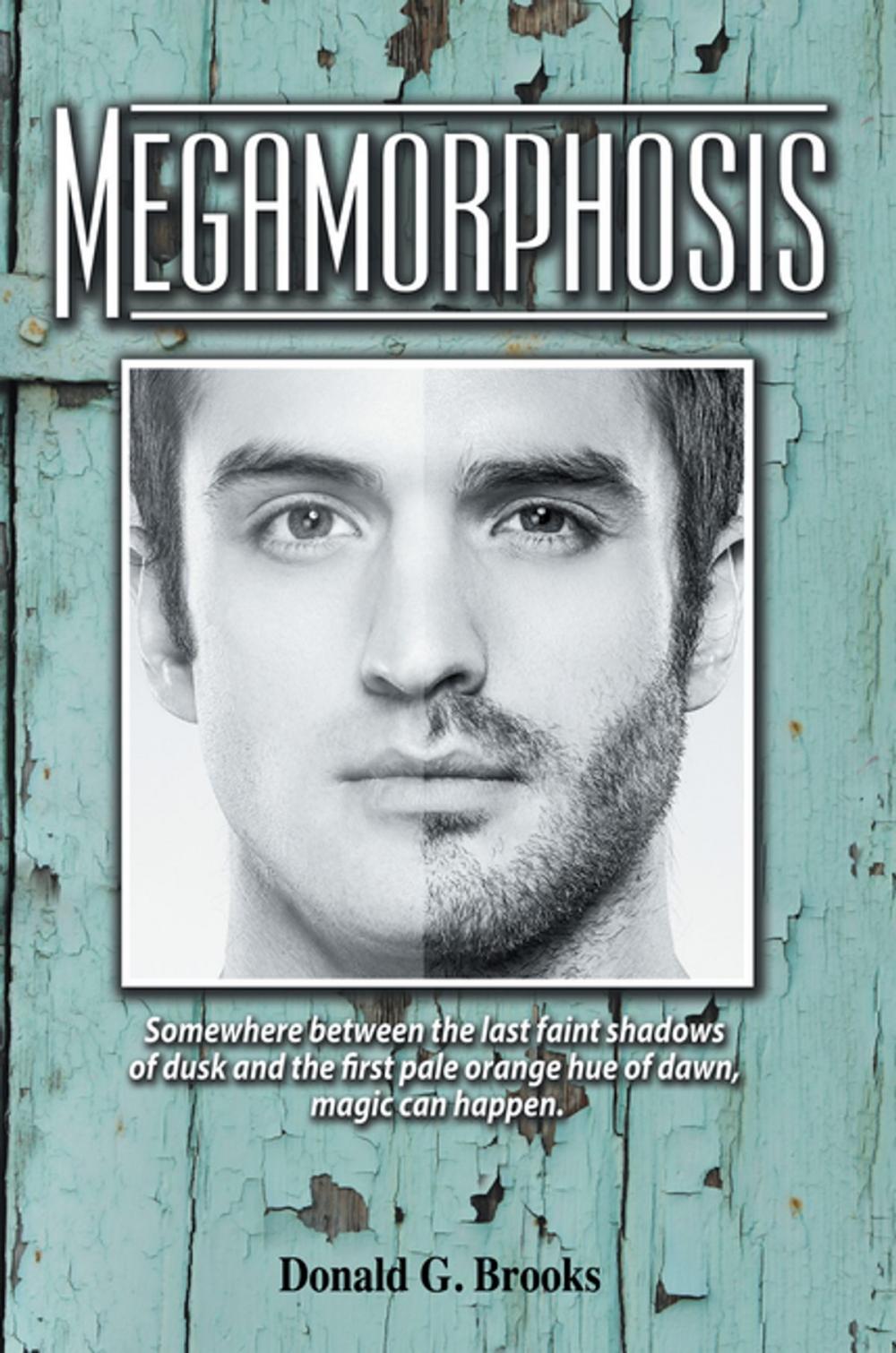 Big bigCover of Megamorphosis