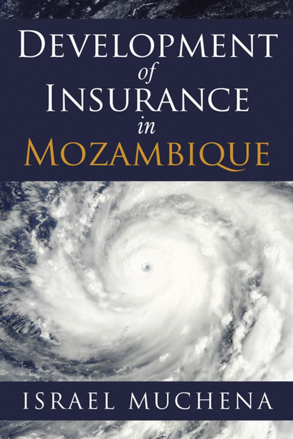Big bigCover of Development of Insurance in Mozambique