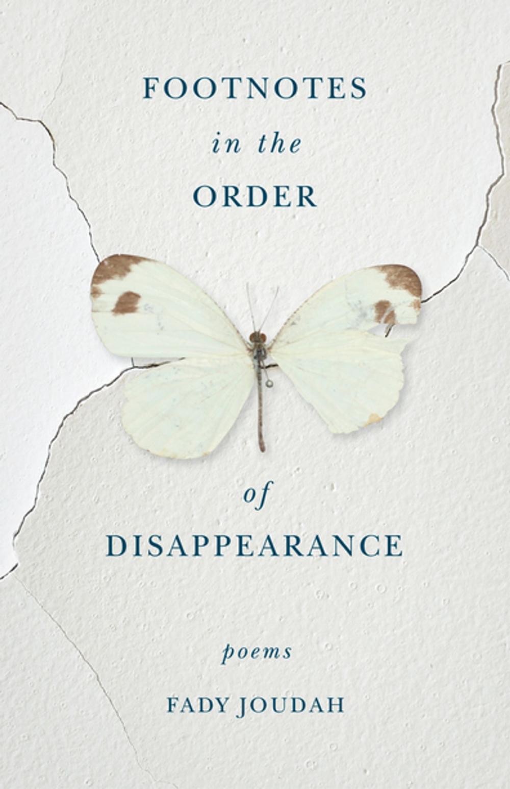 Big bigCover of Footnotes in the Order of Disappearance