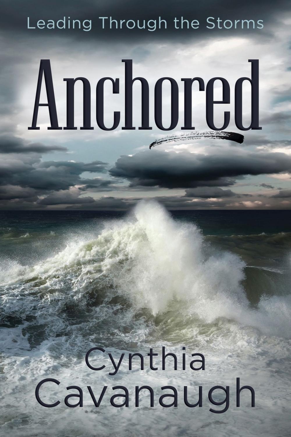 Big bigCover of Anchored