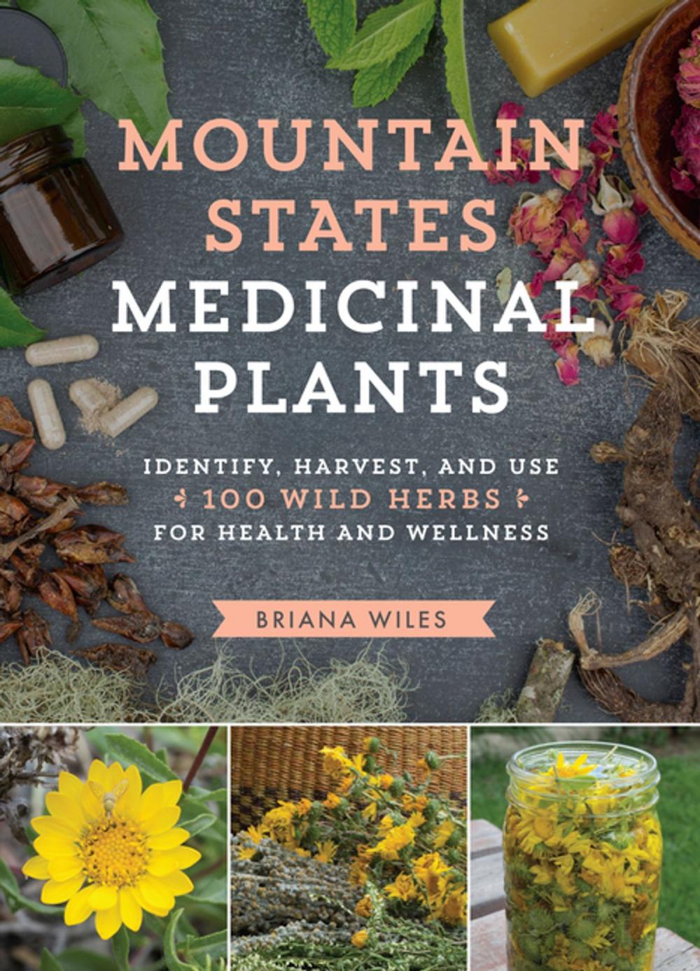 Big bigCover of Mountain States Medicinal Plants