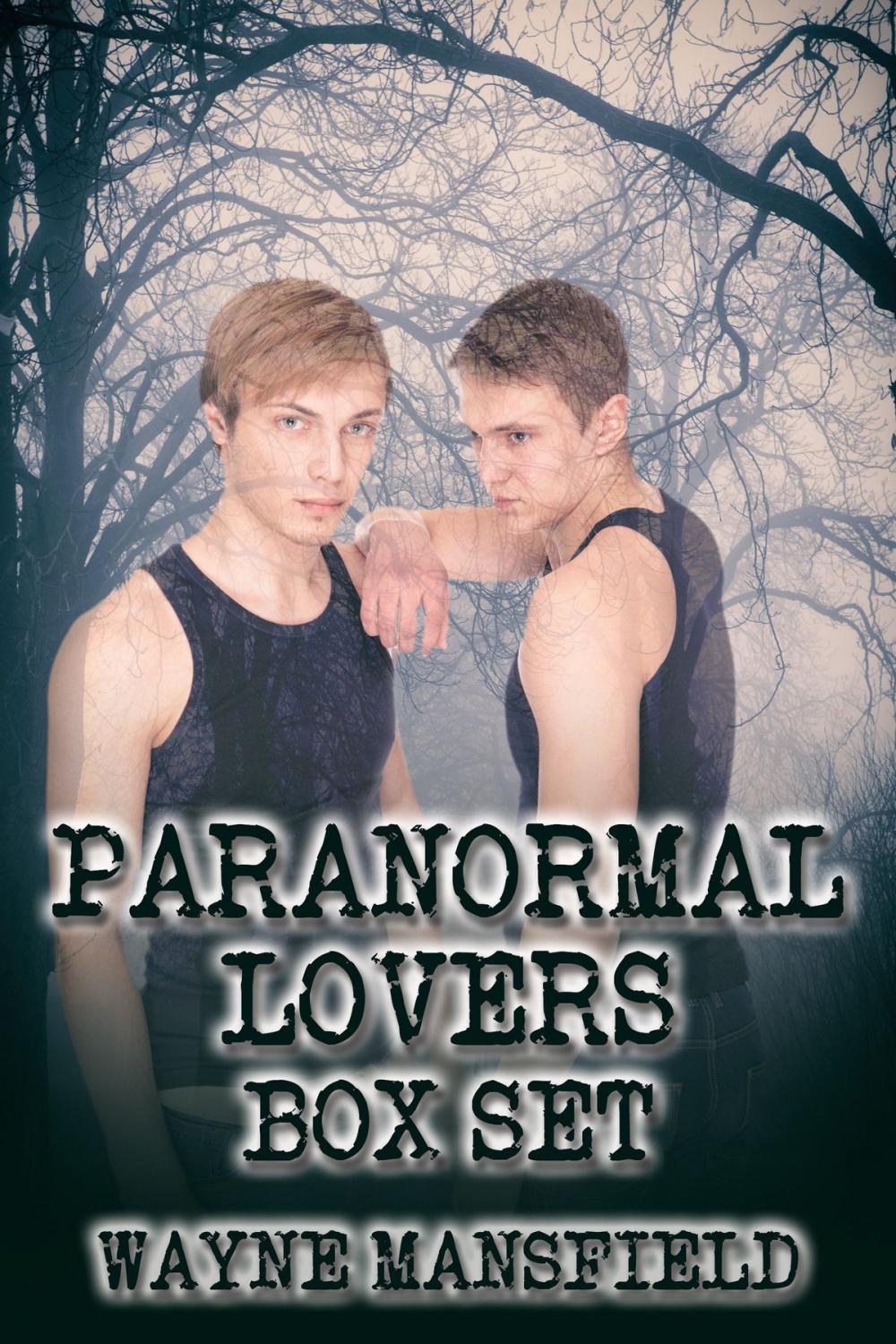 Big bigCover of Paranormal Lovers Box Set