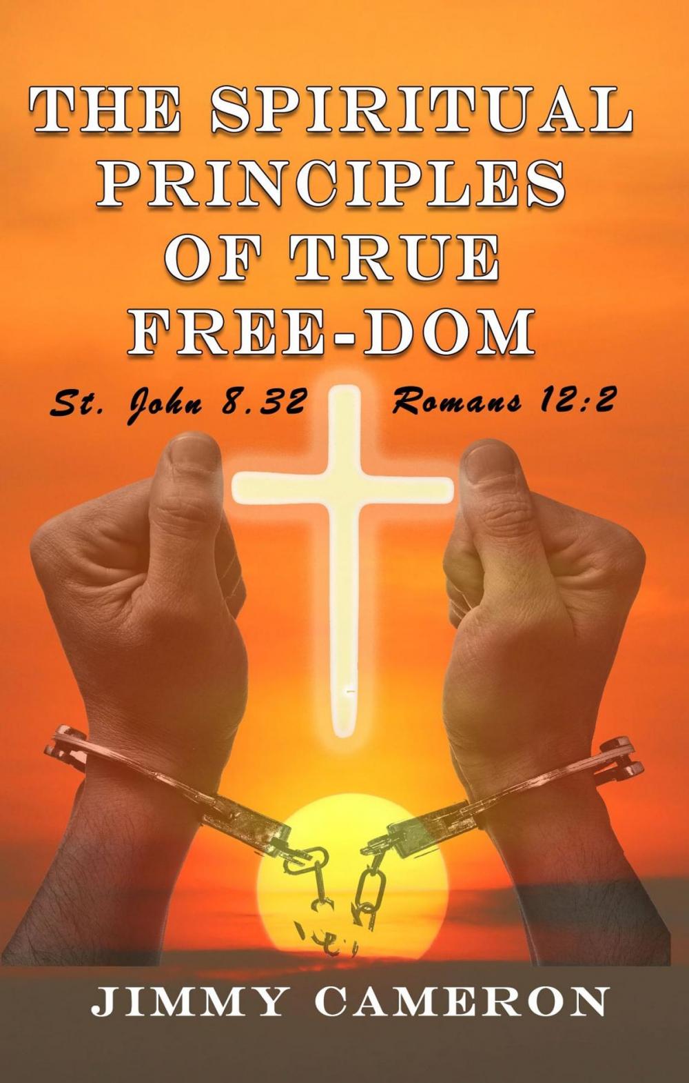 Big bigCover of The Spiritual Principles of True Free-Dom