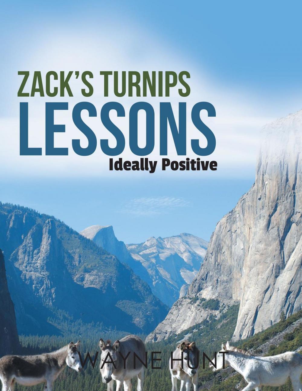 Big bigCover of Zack's Turnips Lessons