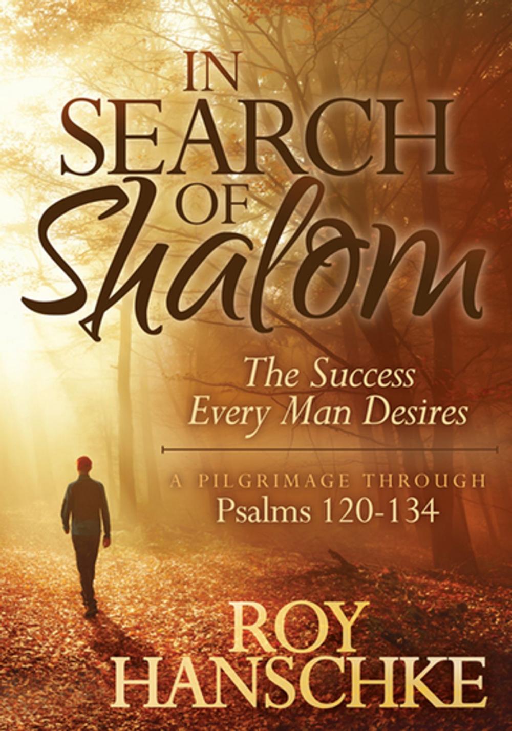 Big bigCover of In Search of Shalom