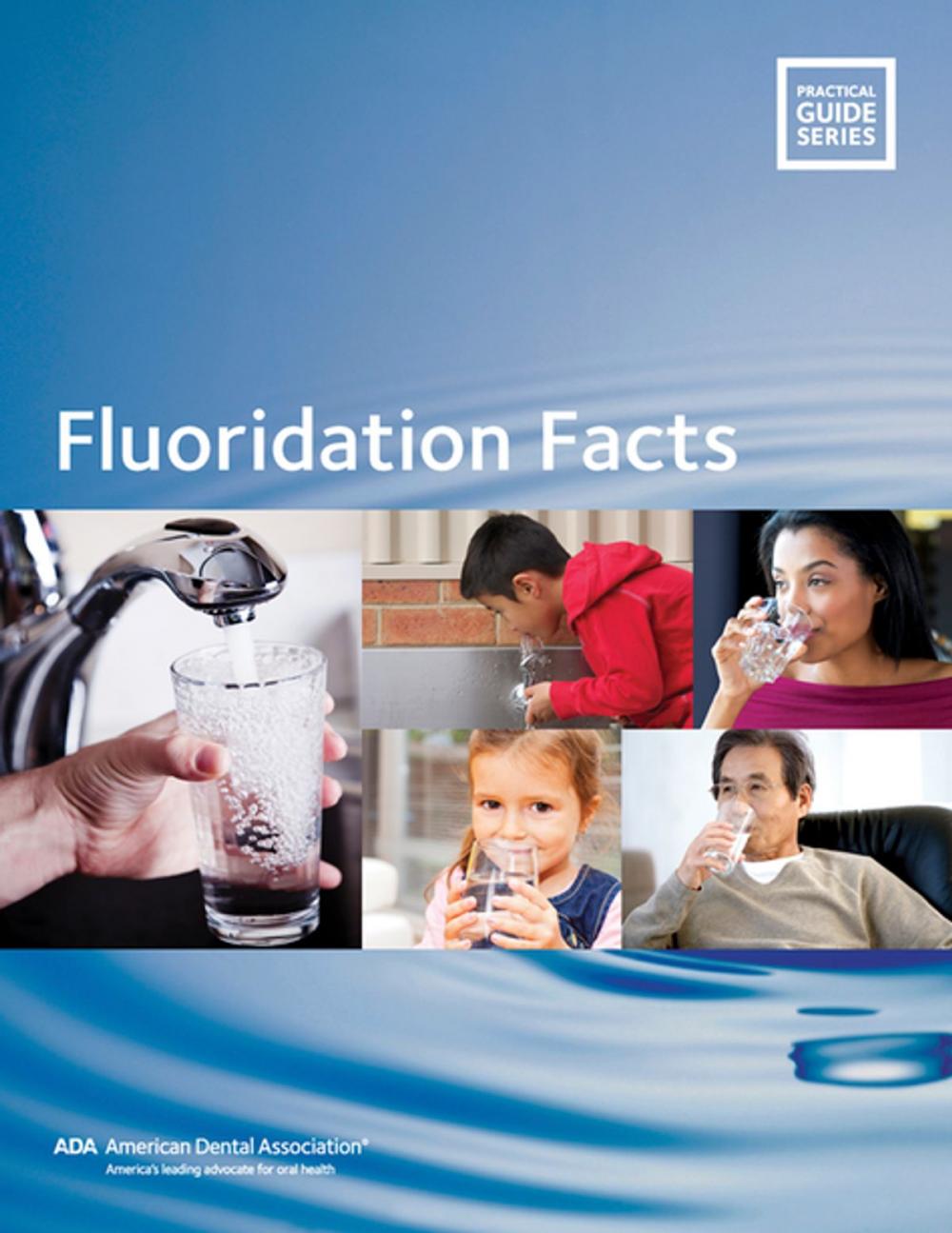 Big bigCover of Fluoridation Facts