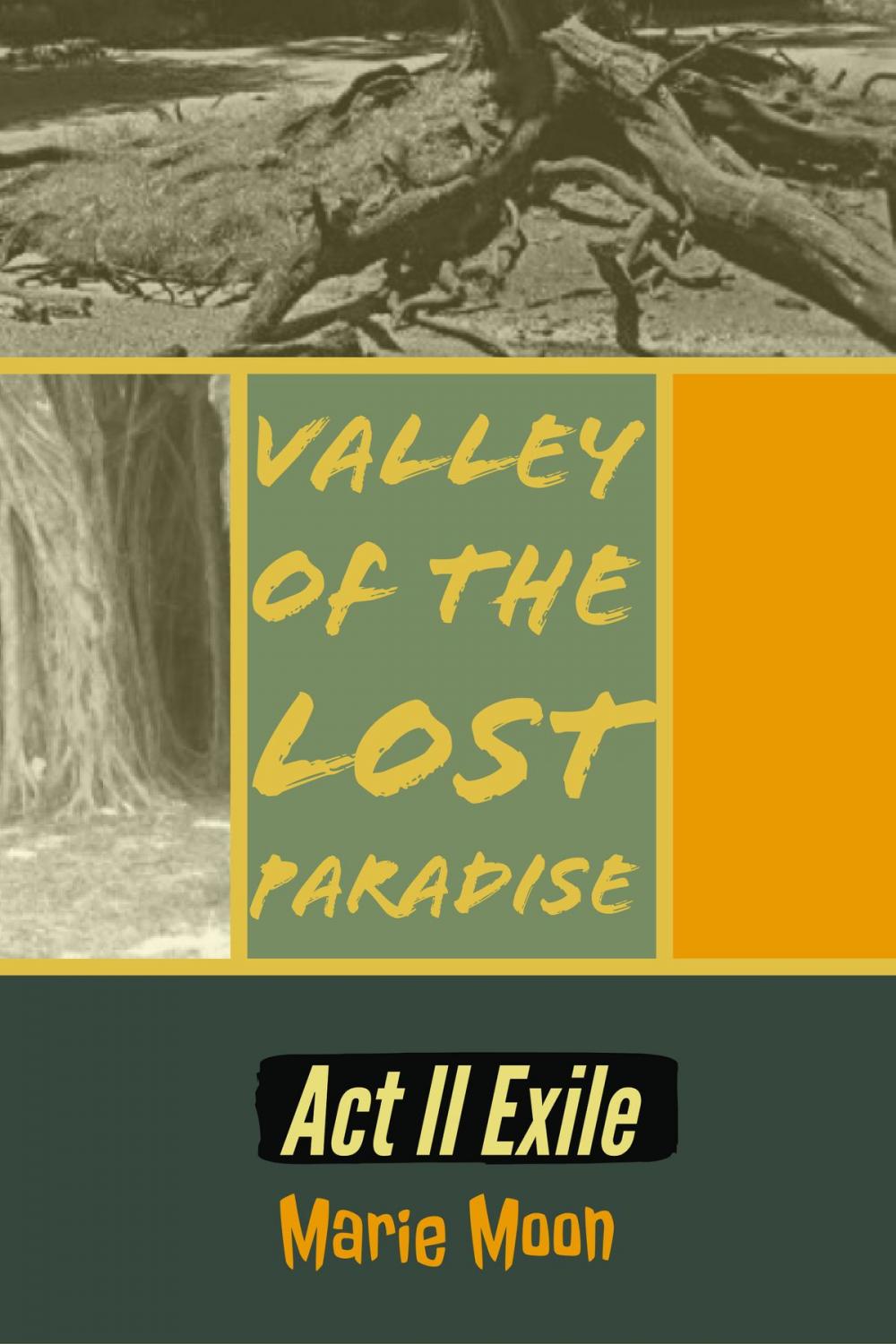 Big bigCover of Valley of the Lost Paradise