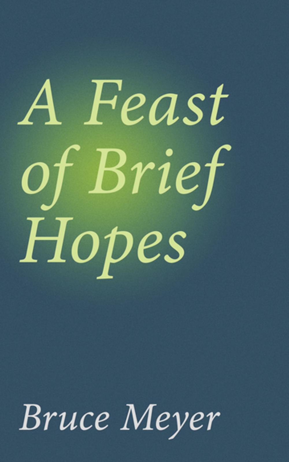 Big bigCover of A Feast of Brief Hopes