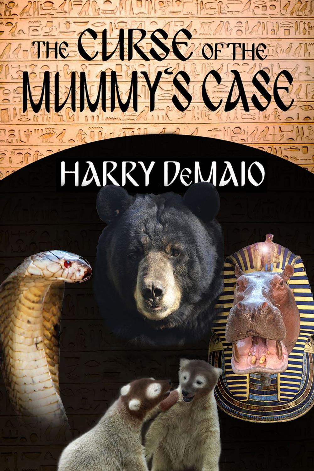 Big bigCover of The Curse of the Mummy's Case