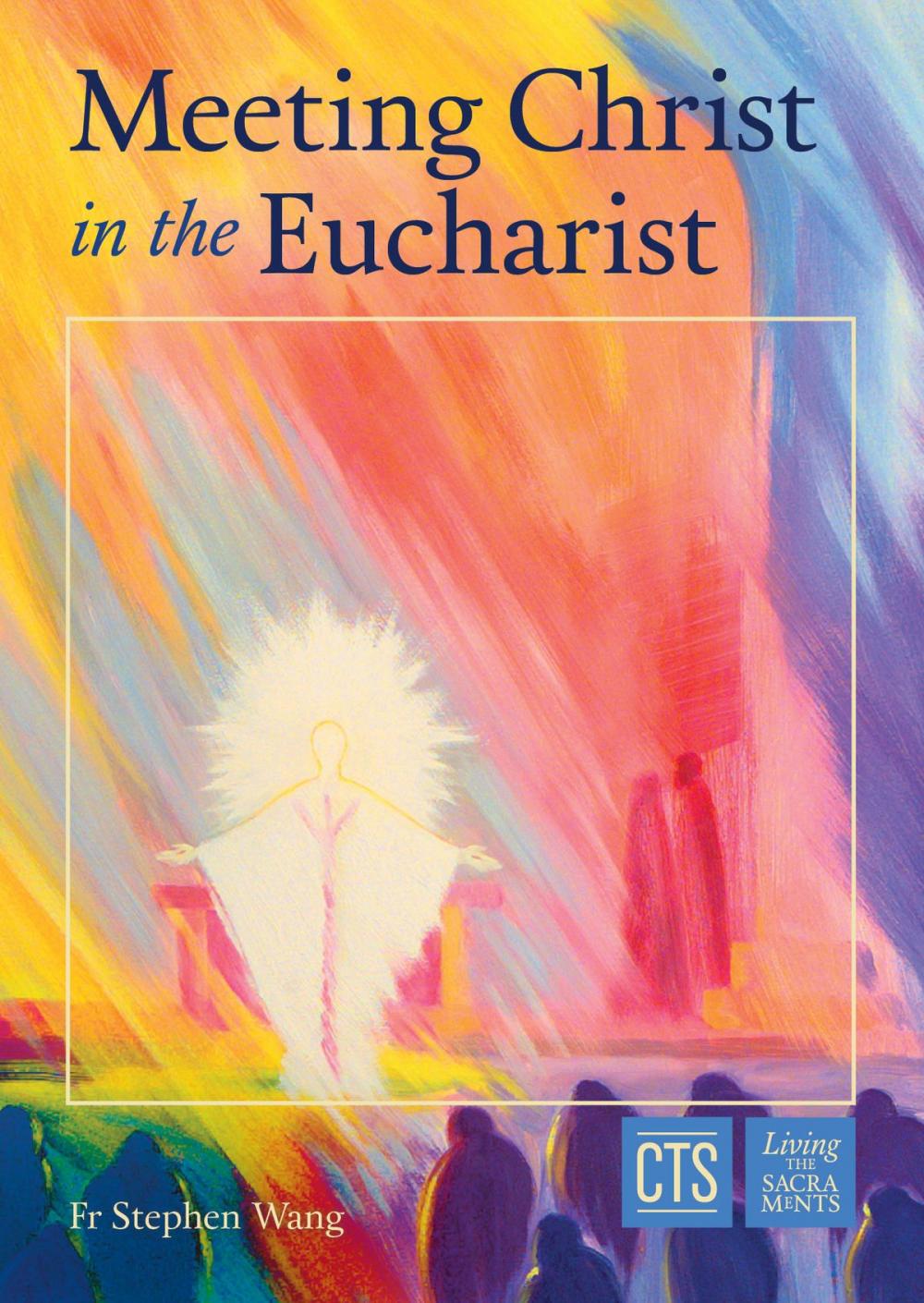 Big bigCover of Meeting Christ in the Eucharist