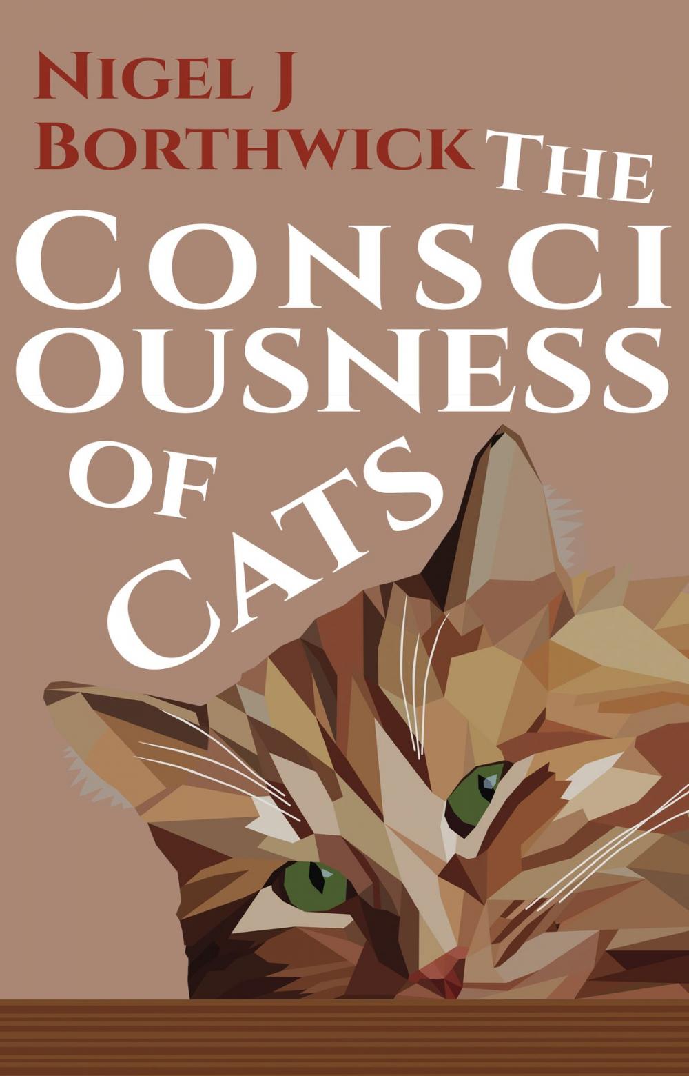 Big bigCover of The Consciousness of Cats