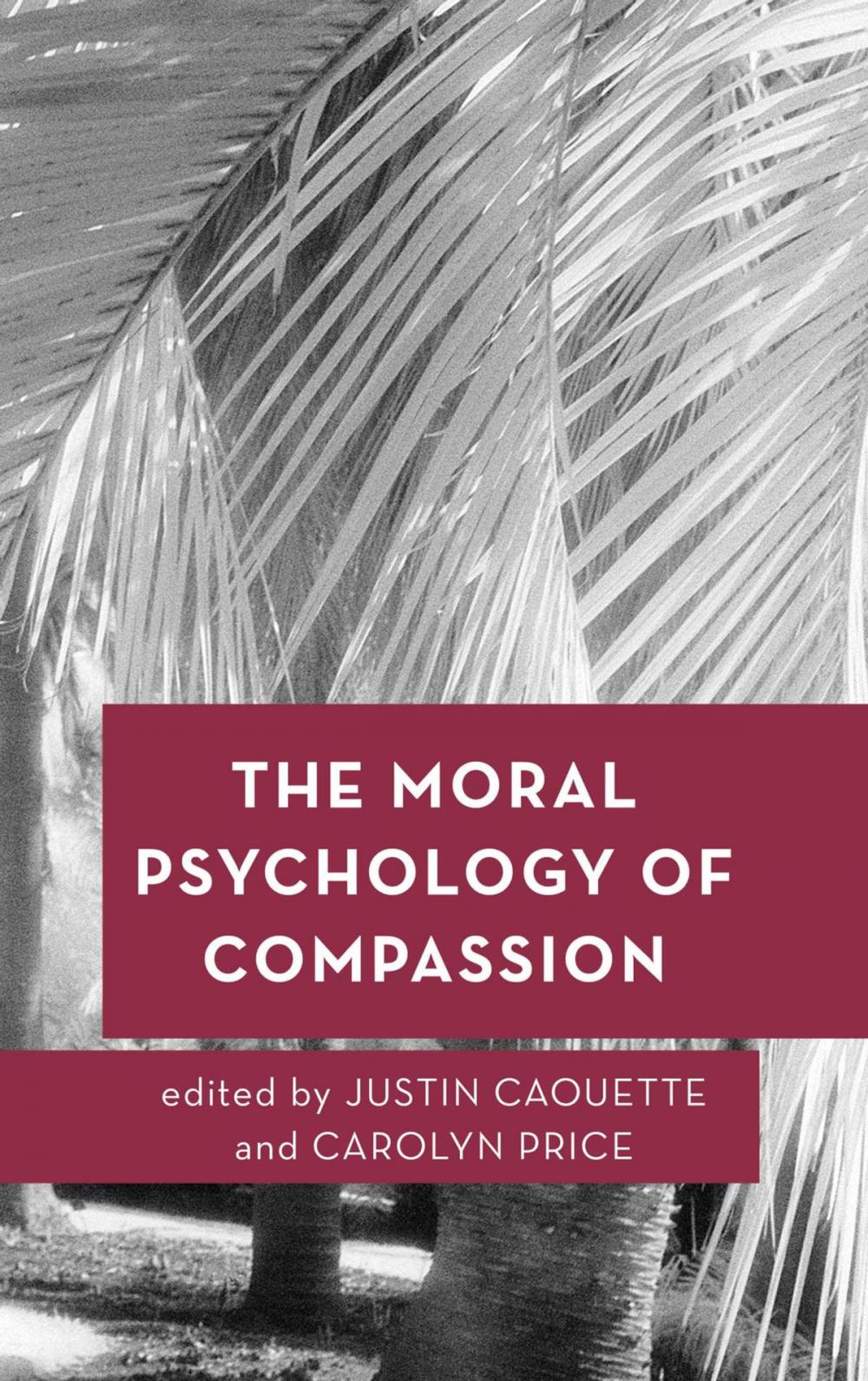Big bigCover of The Moral Psychology of Compassion