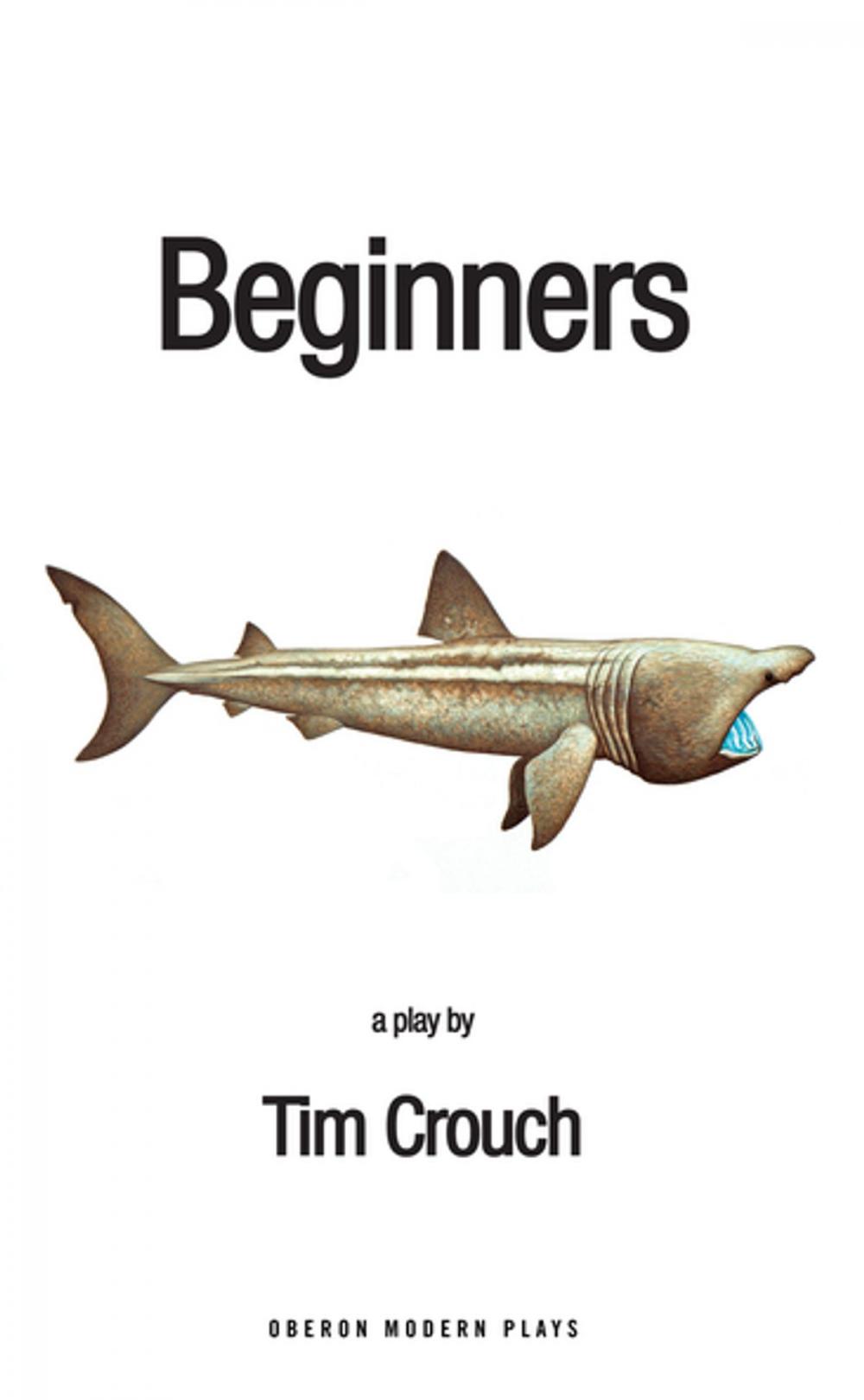 Big bigCover of Beginners