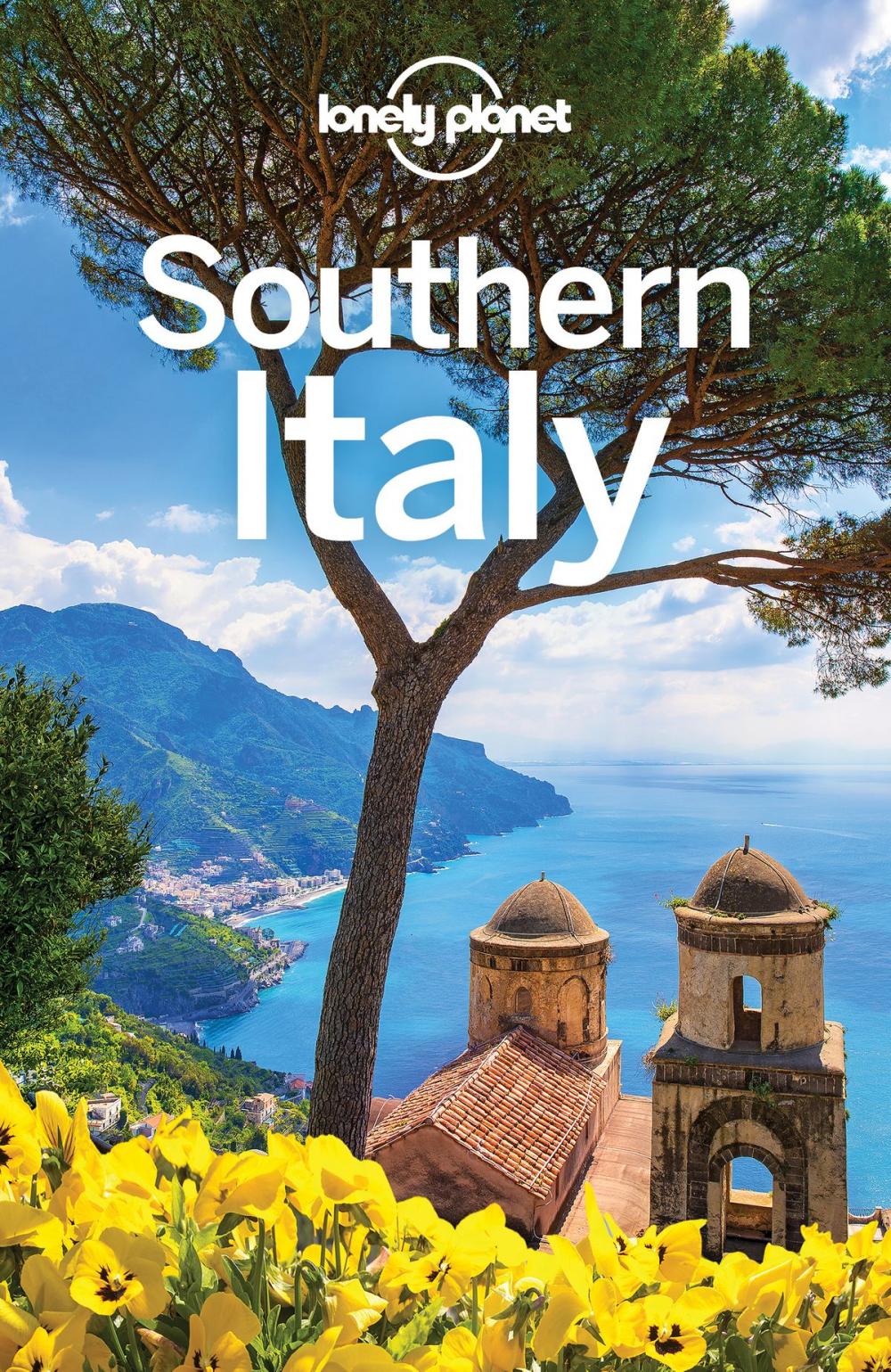 Big bigCover of Lonely Planet Southern Italy