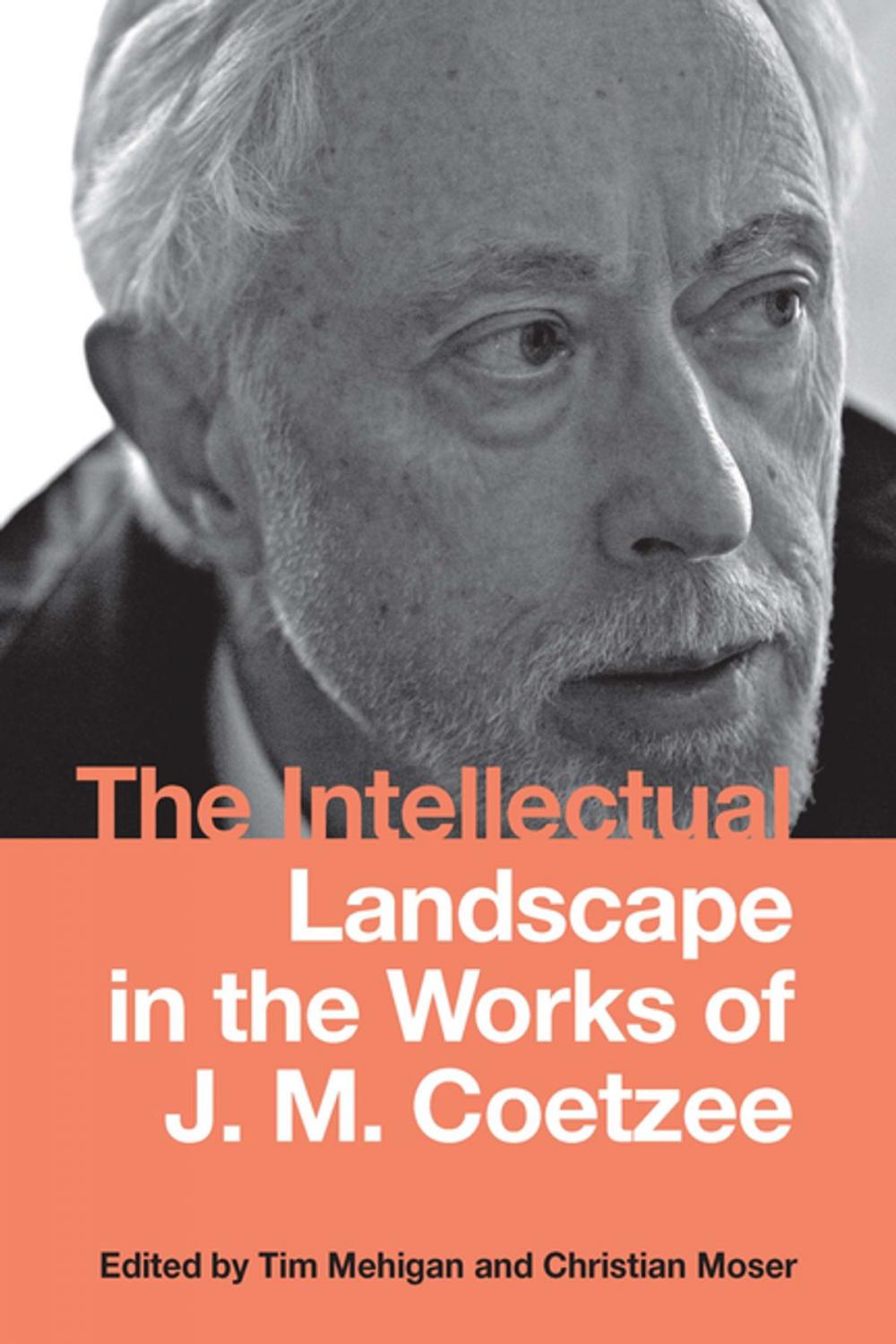 Big bigCover of The Intellectual Landscape in the Works of J. M. Coetzee