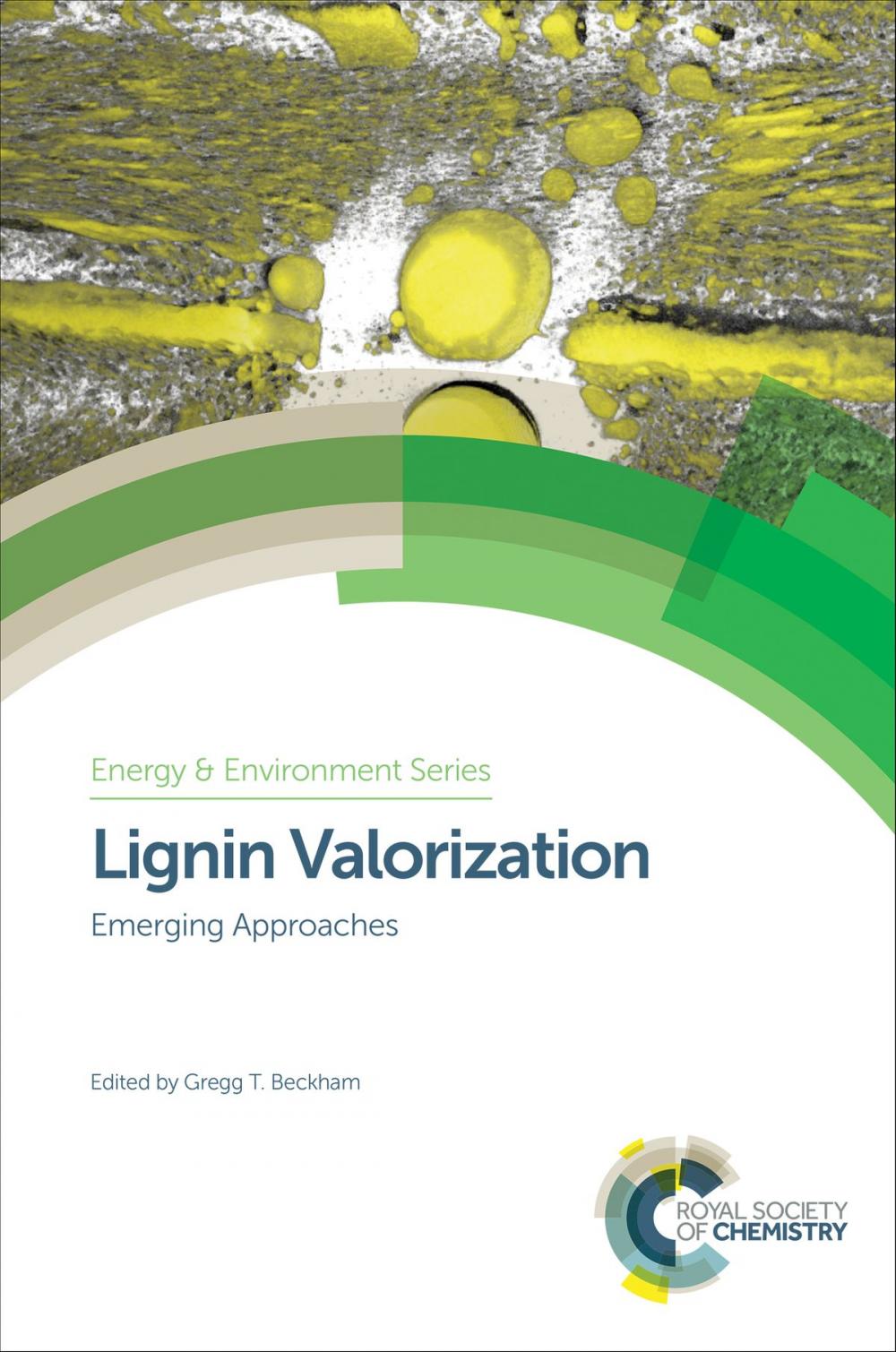 Big bigCover of Lignin Valorization