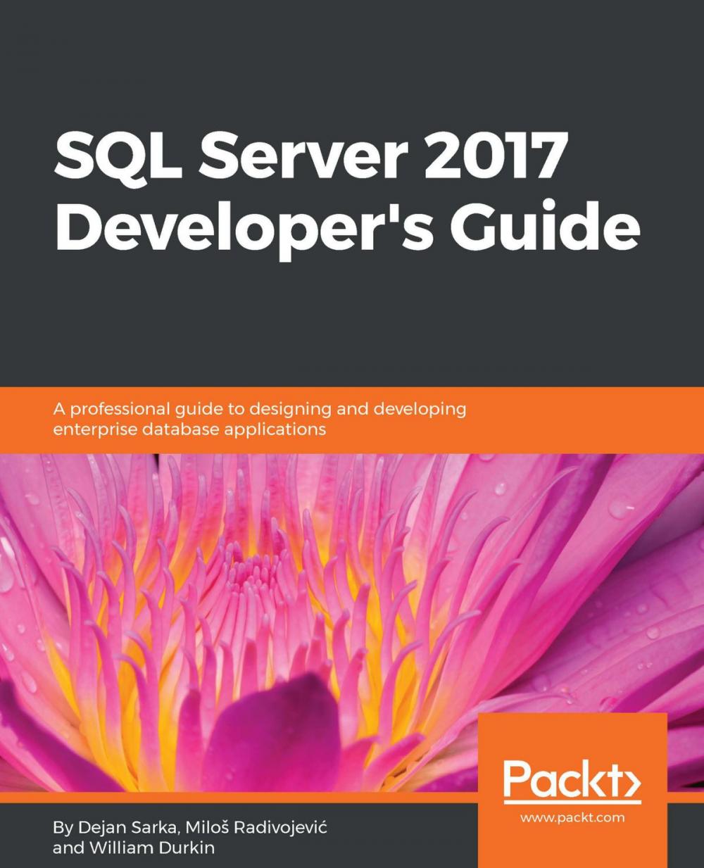 Big bigCover of SQL Server 2017 Developer’s Guide