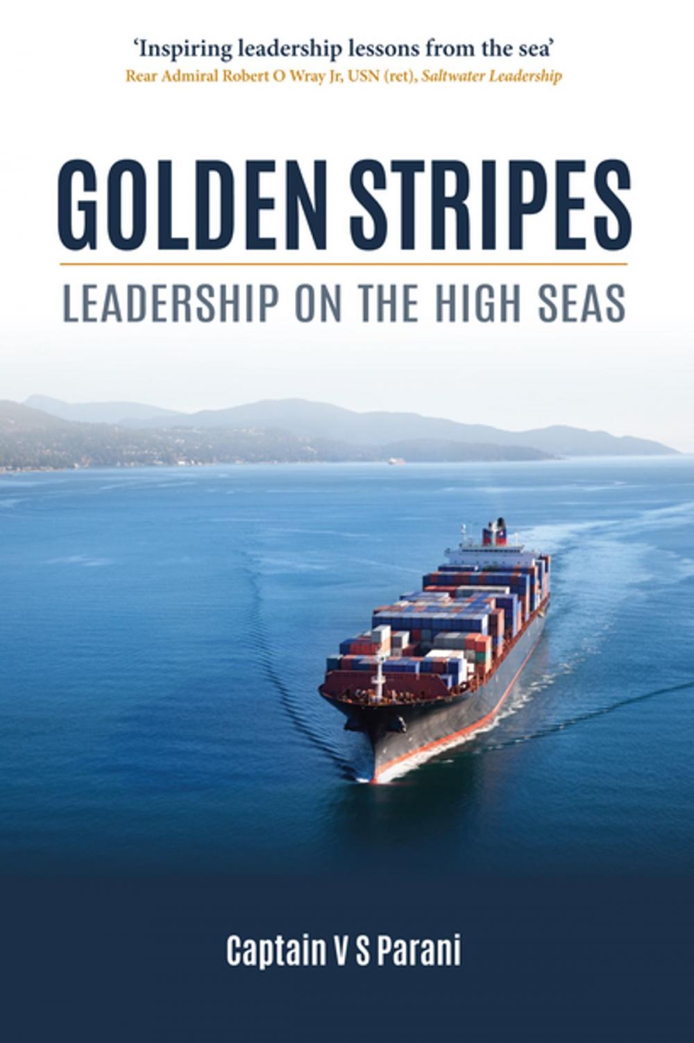 Big bigCover of Golden Stripes