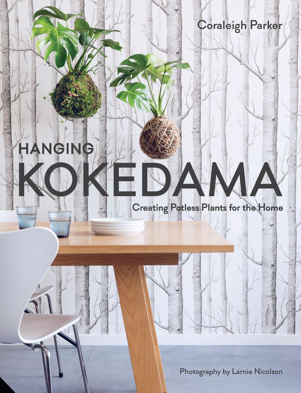 Big bigCover of Hanging Kokedama