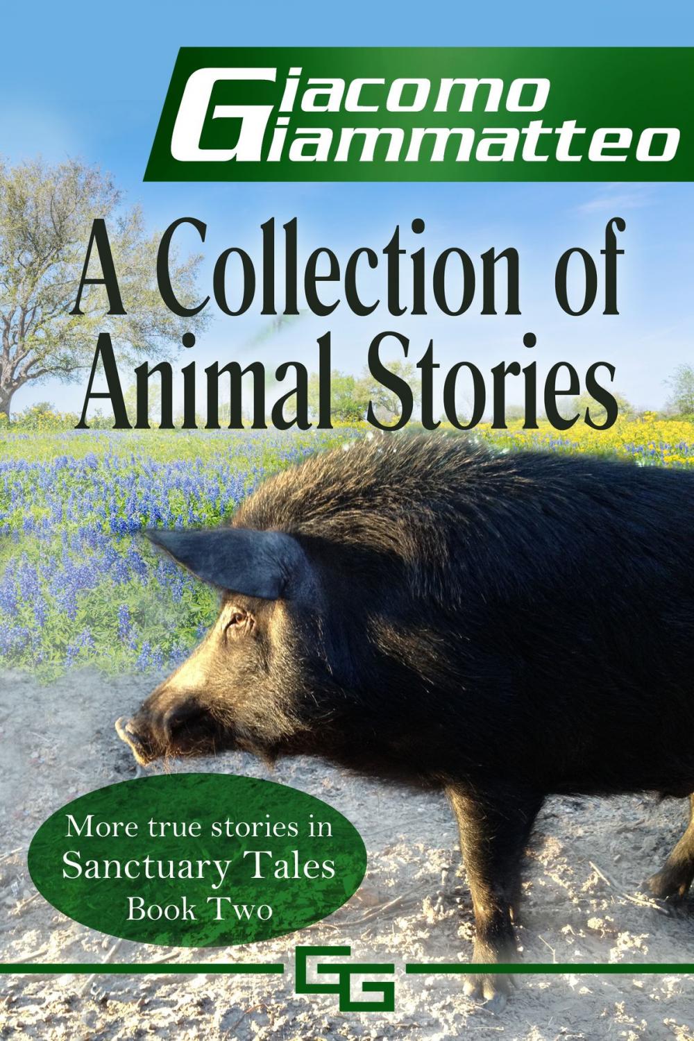 Big bigCover of A Collection of Animal Stories, Sanctuary Tales II