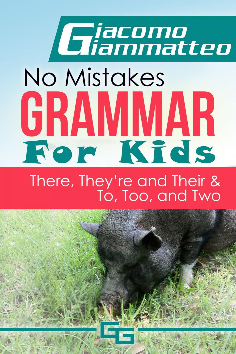 Big bigCover of No Mistakes Grammar for Kids, Volume V, "There, They're, Their," and "To, Too, and Two" 