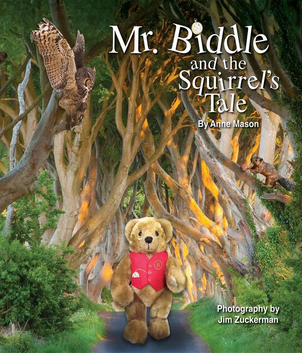 Big bigCover of Mr. Biddle and the Squirrel's Tale