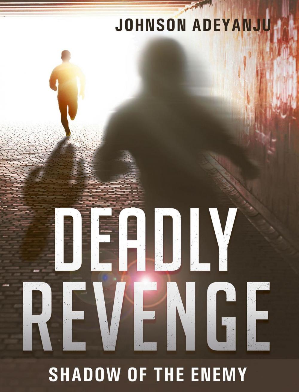 Big bigCover of Deadly Revenge