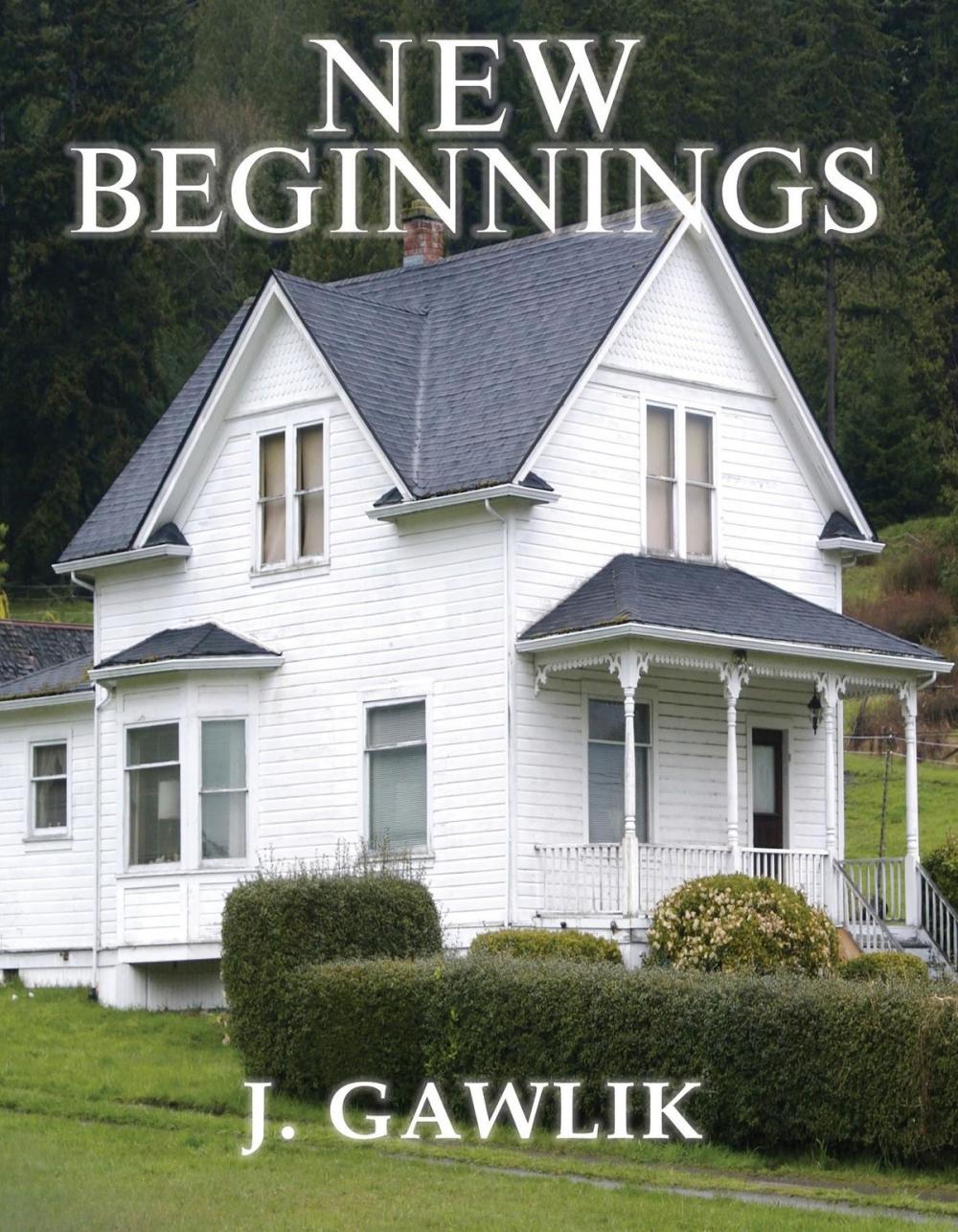 Big bigCover of NEW BEGINNINGS