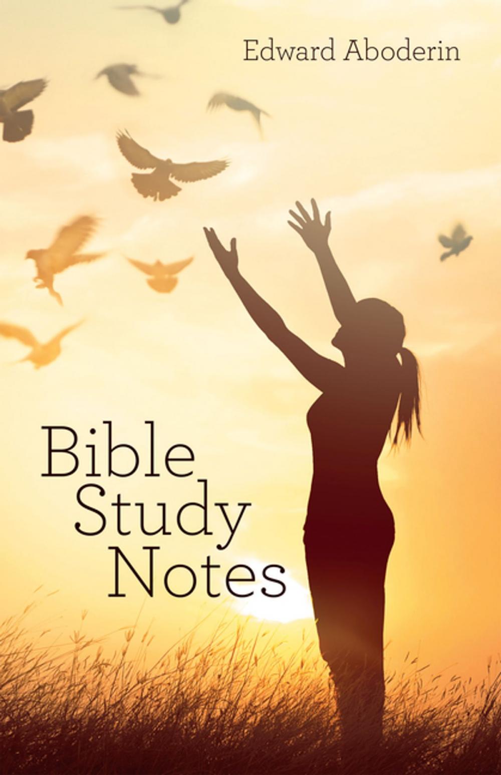 Big bigCover of Bible Study Notes