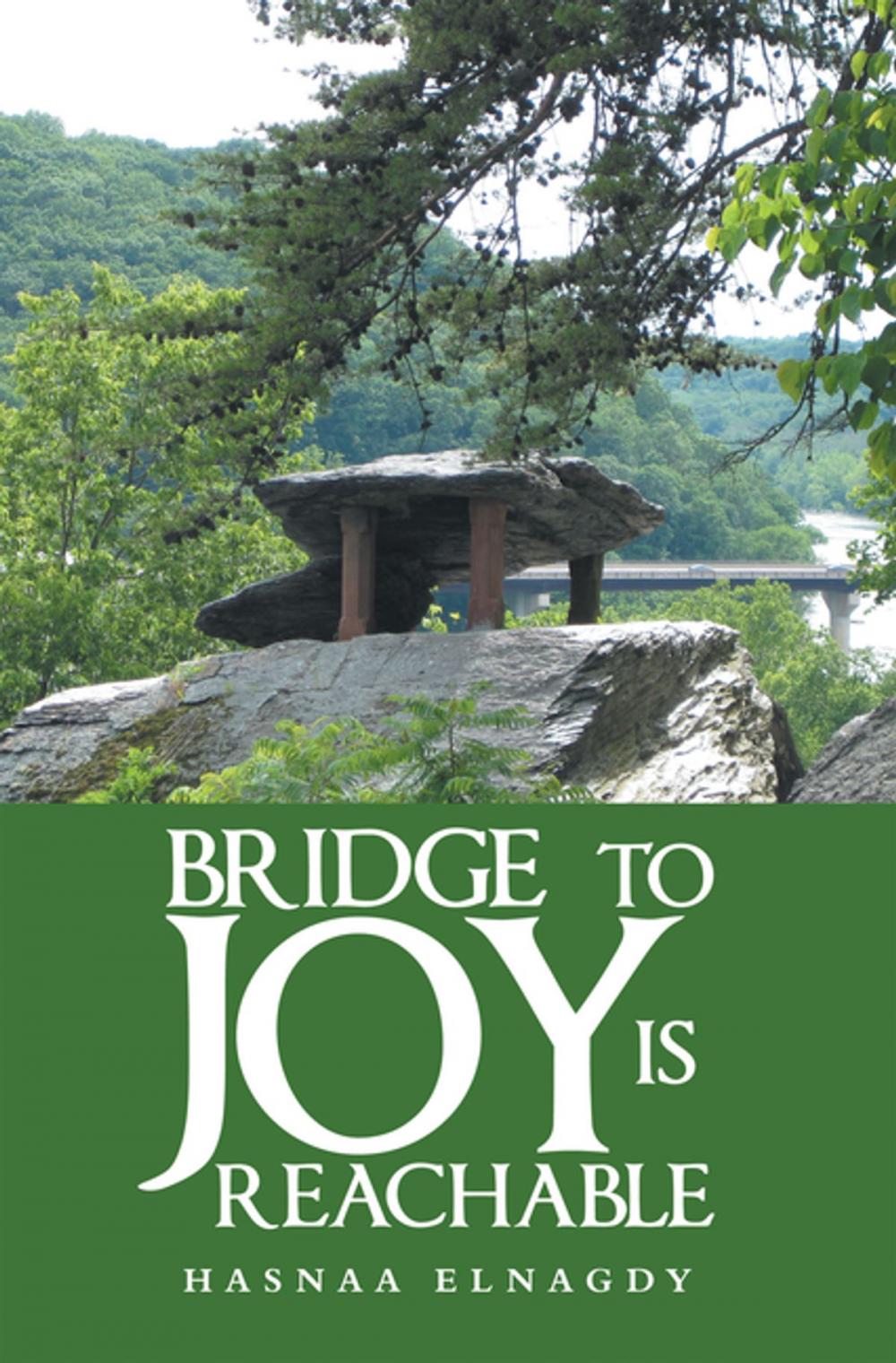 Big bigCover of Bridge to Joy Is Reachable