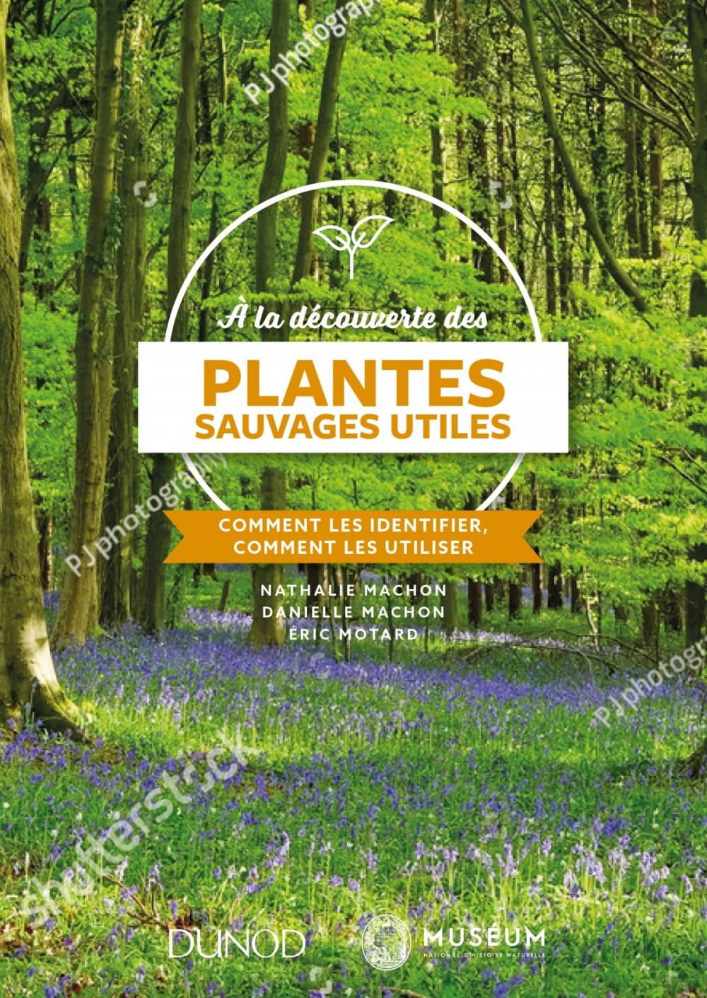 Big bigCover of À la découverte des plantes sauvages utiles