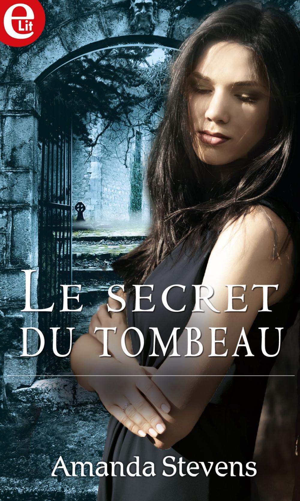 Big bigCover of Le secret du tombeau