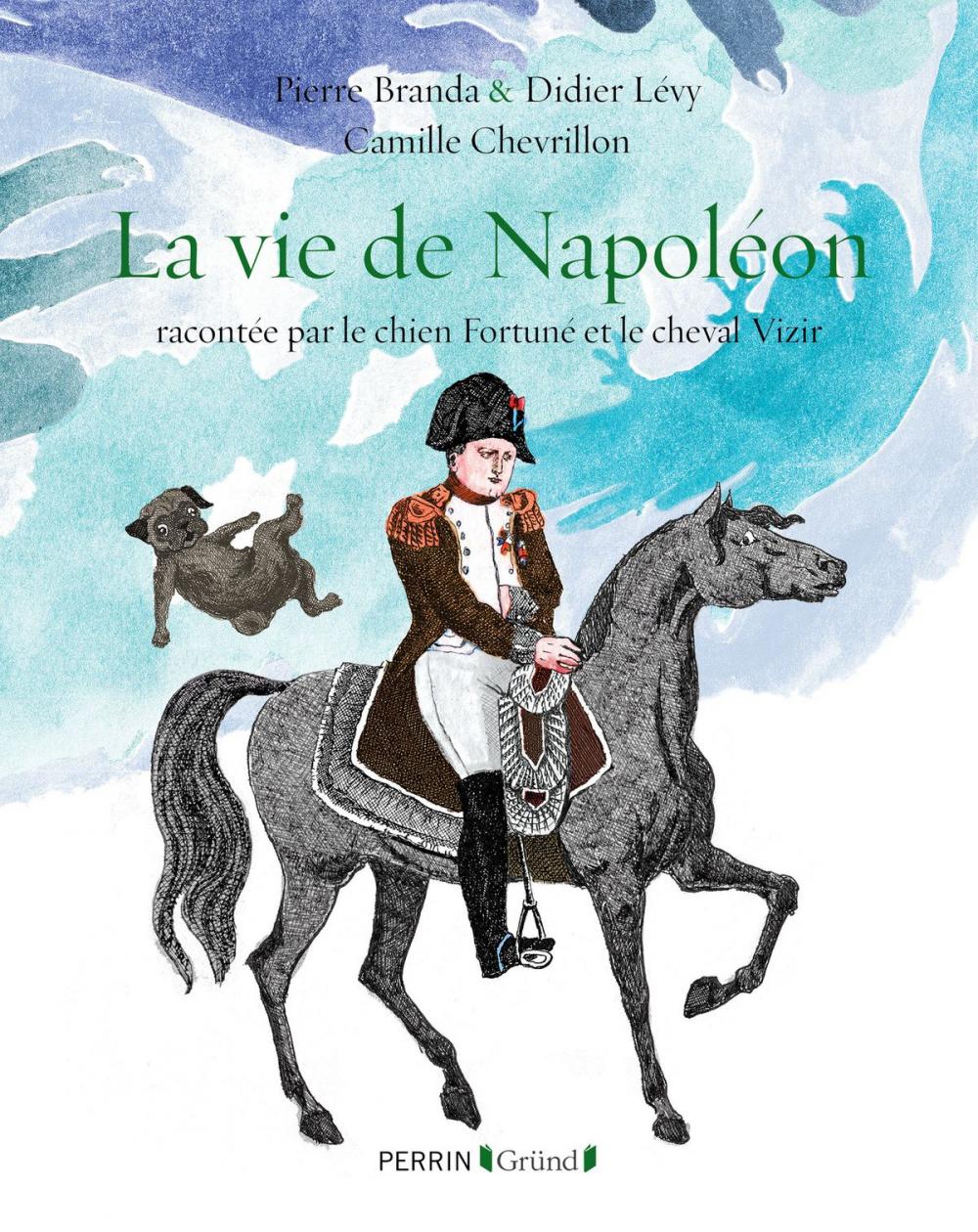 Big bigCover of La vie de Napoléon