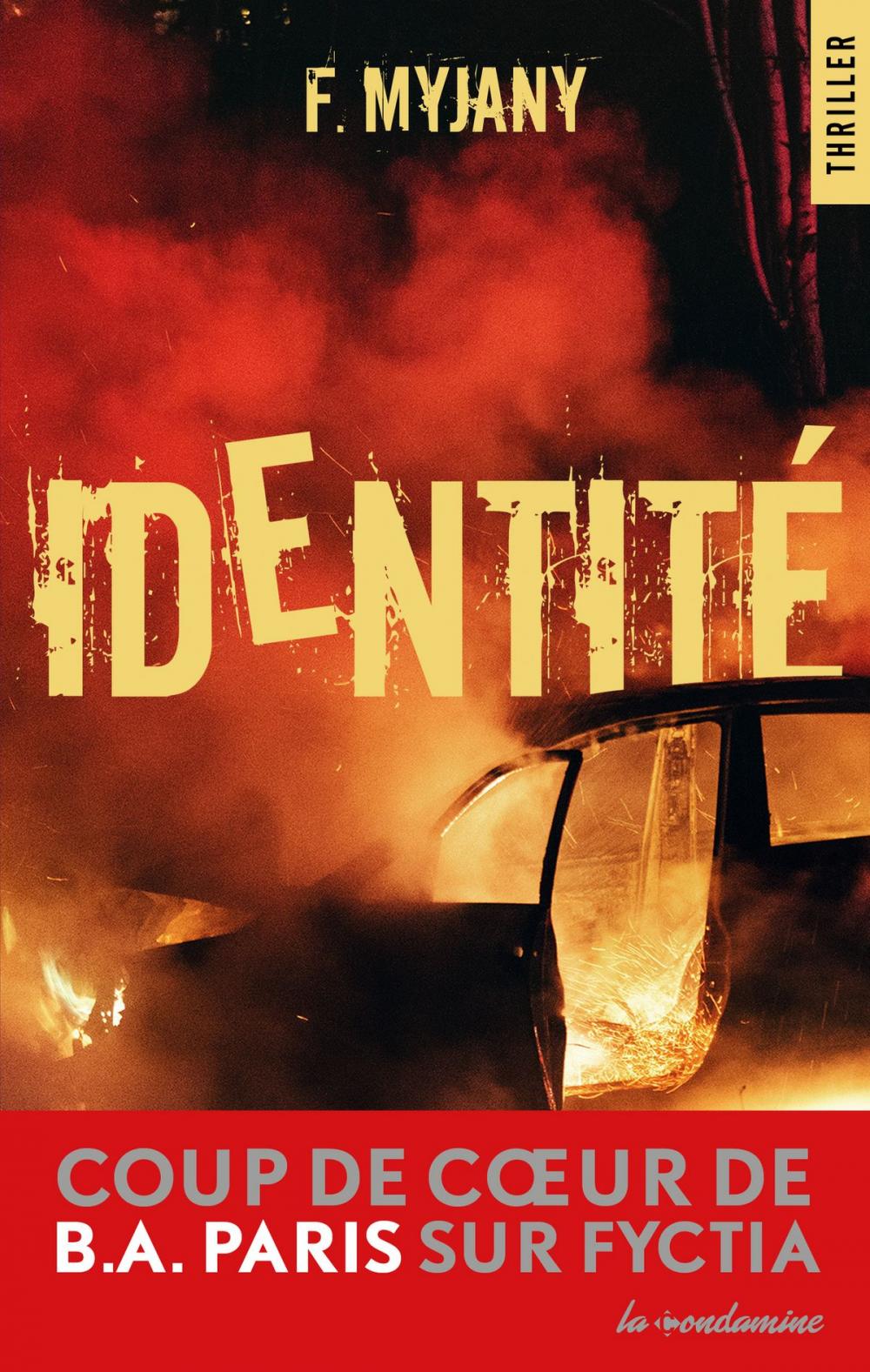 Big bigCover of Identité