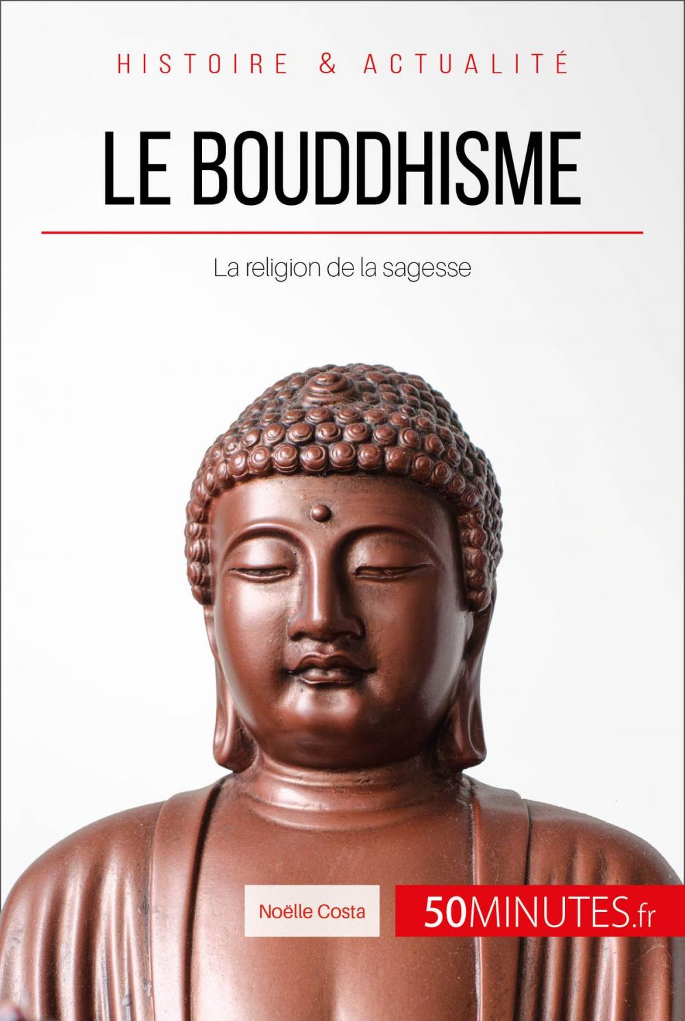 Big bigCover of Le bouddhisme